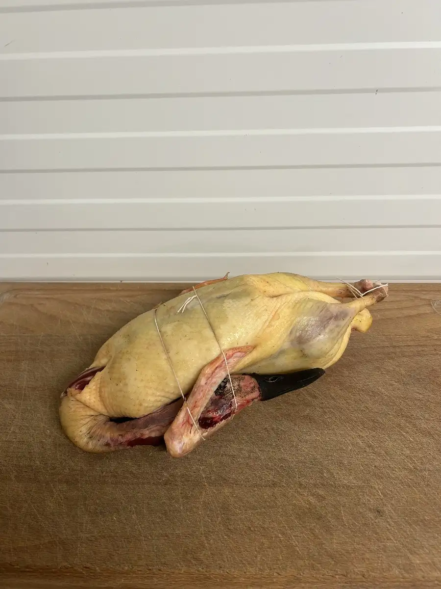 Canard demi sauvage 1.2kg